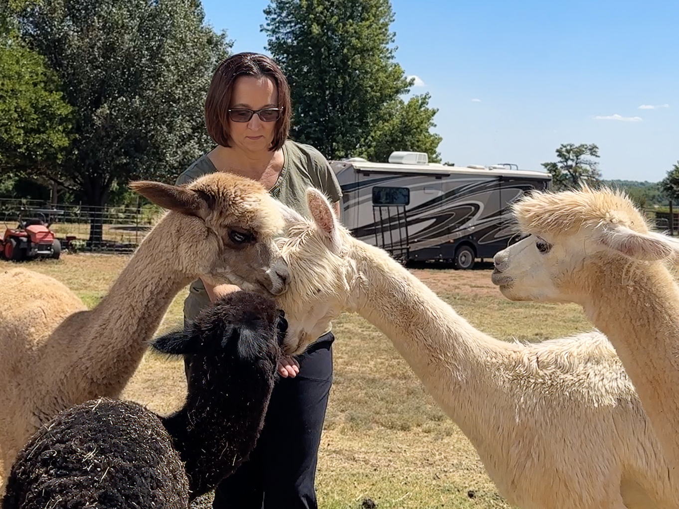 Magnolia Blossom Ranch