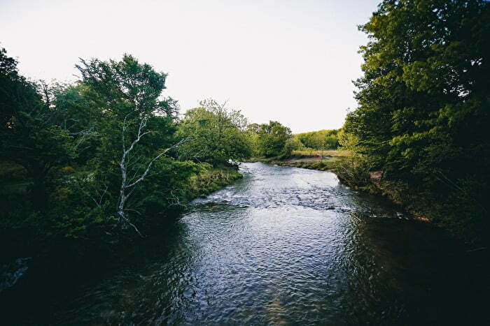 Pennington Creek Hunting Club